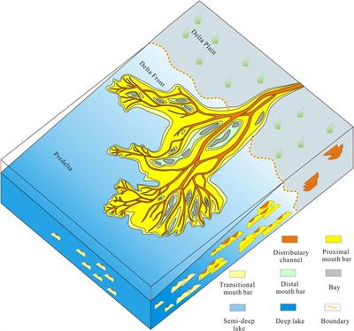 Sedimentary evolutionary processes, architecture, and sedimentary model of a lobate shallow-water delta: insights from flume simulation experiments